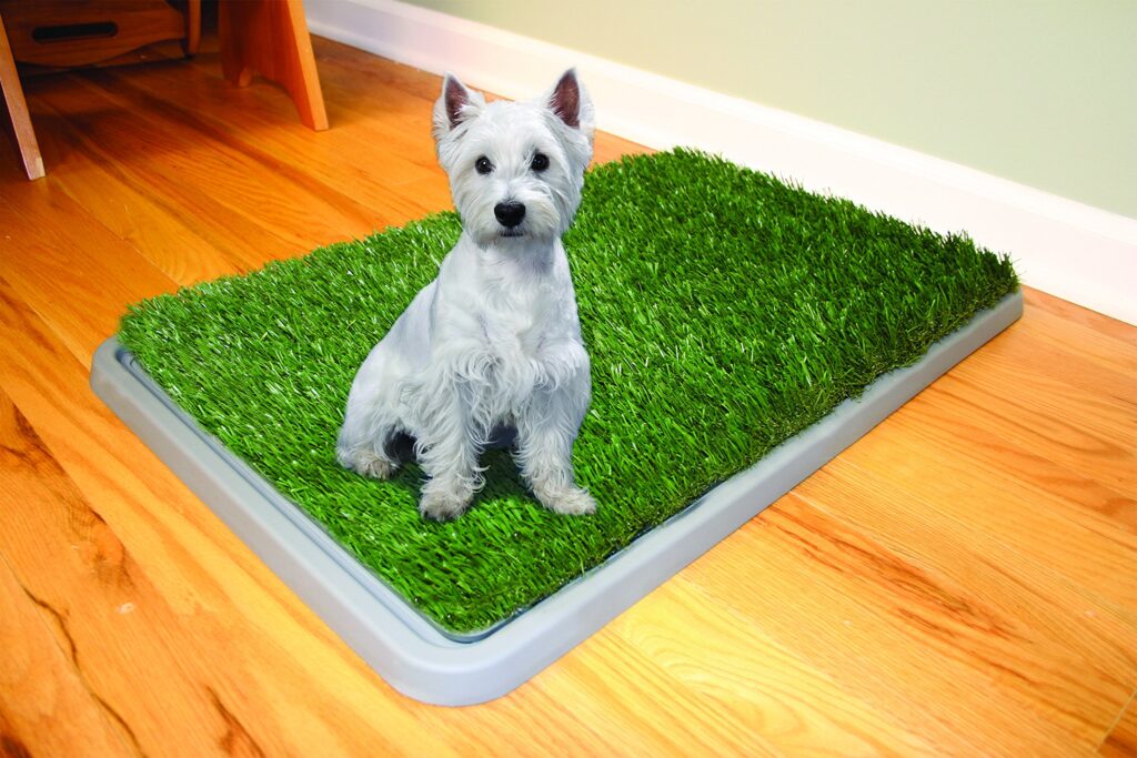 What Things Should You Consider Before Buying Dog Litter Boxes   919KZ5SpVLL 1024x683 